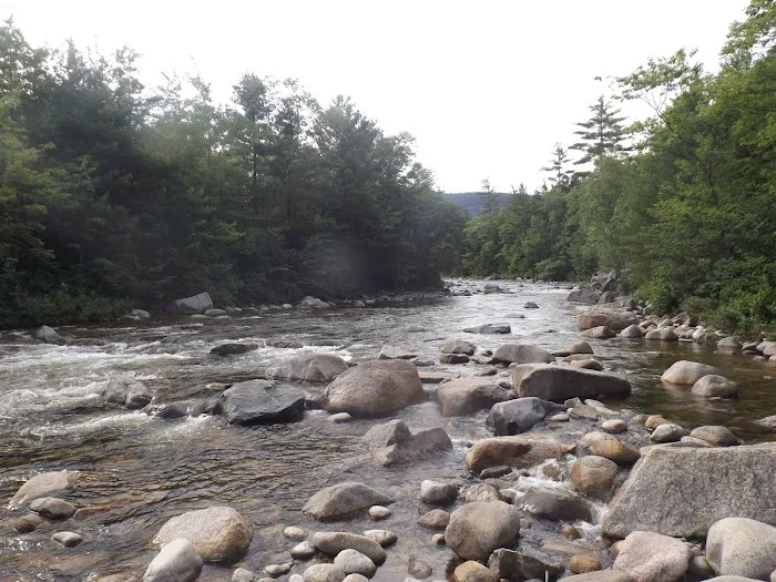 Blackberry Crossing Campground 6