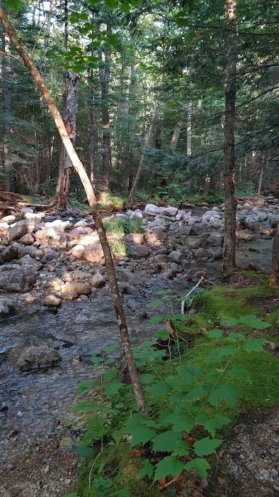 Osceola Vista Campground 5