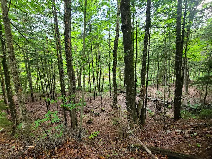 Waterville Campground 7