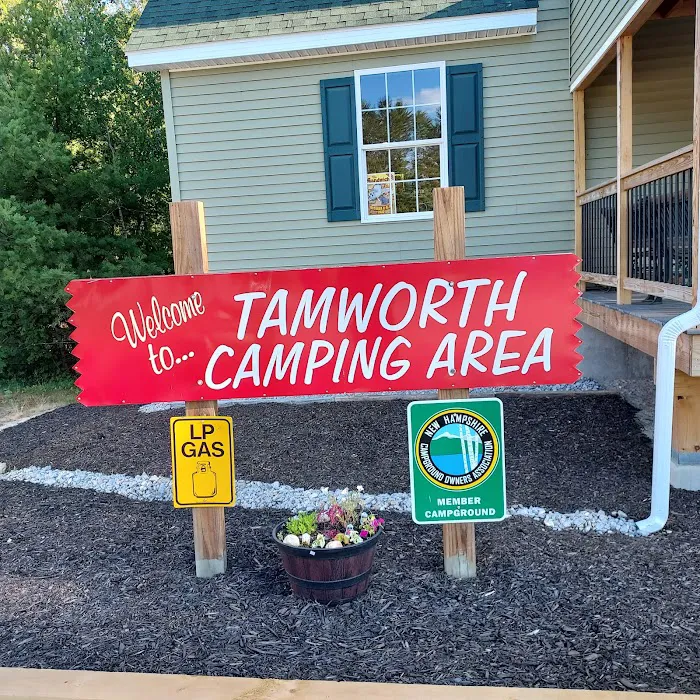 Tamworth Camping Area (A Modern America Campground) 1