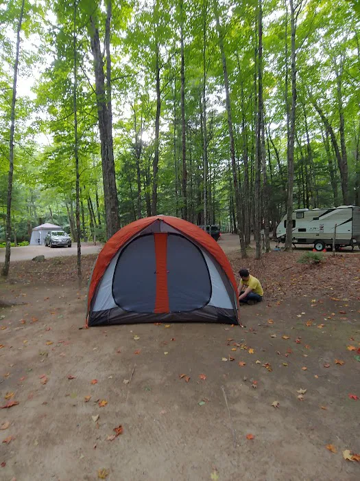 Tamworth Camping Area (A Modern America Campground) 6