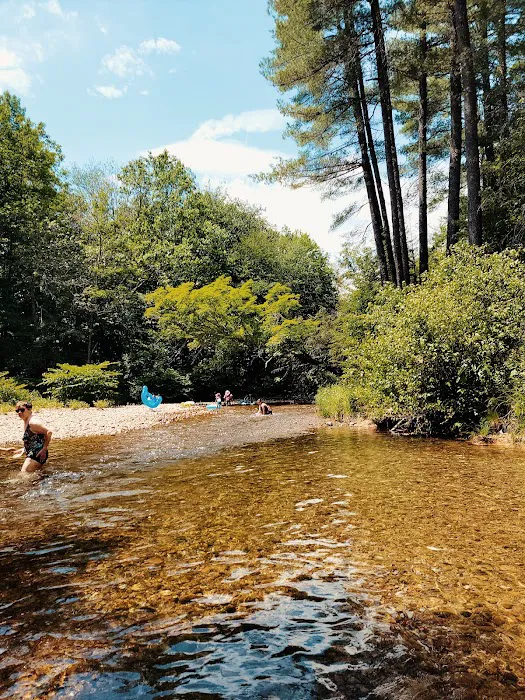 Tamworth Camping Area (A Modern America Campground) 4