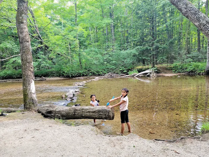 Tamworth Camping Area (A Modern America Campground) 2