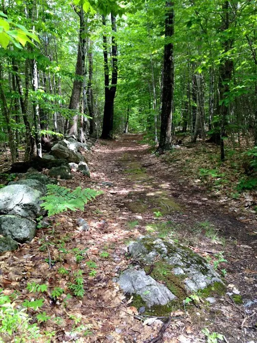 Lake Ivanhoe Campground 9