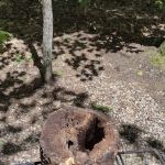 Mark and Linda's Campsite