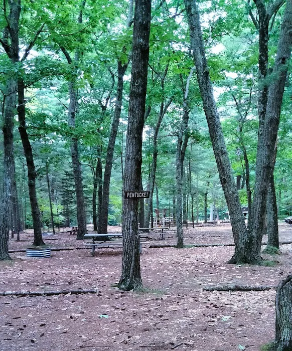 Lone Tree Camp & Cabins 3