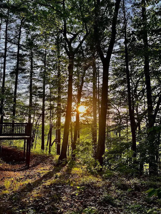 Lone Tree Camp & Cabins 4