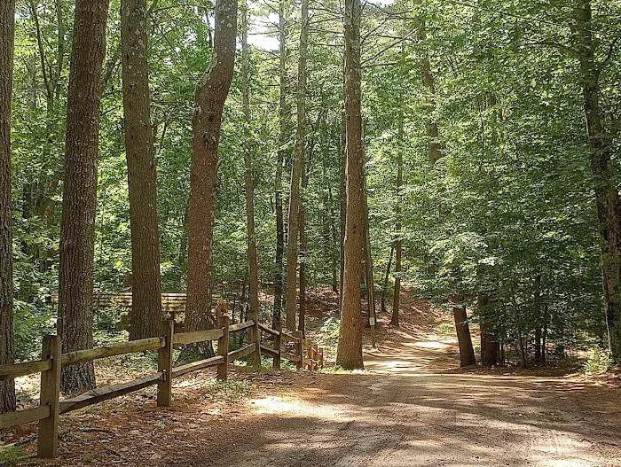 Lone Tree Camp & Cabins 5