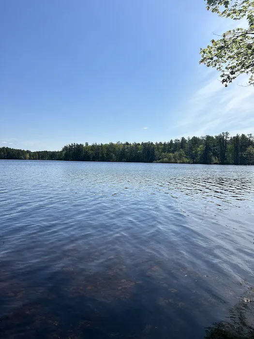 Lone Tree Camp & Cabins 0