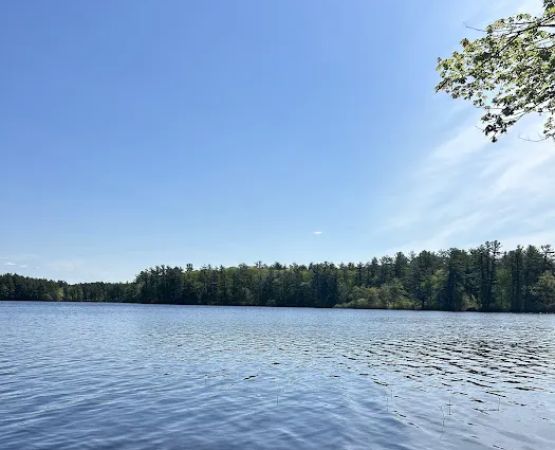 Lone Tree Camp & Cabins