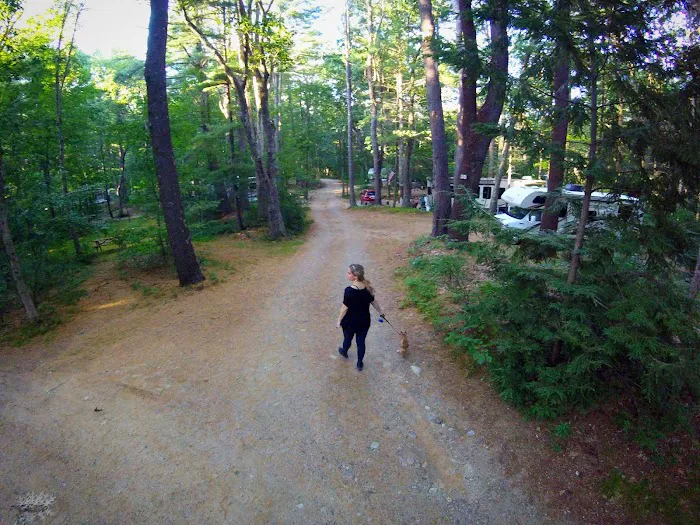 Country Shore Camping Area 7