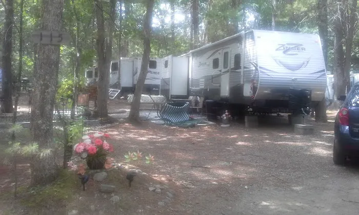 Country Shore Camping Area 3