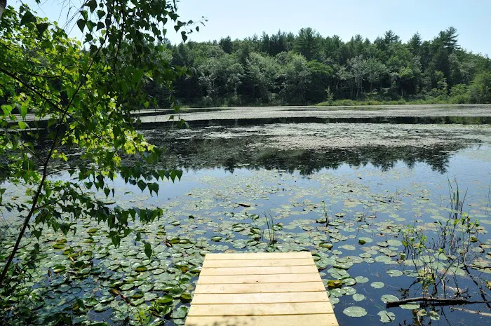 Tuxbury Pond Campground 6