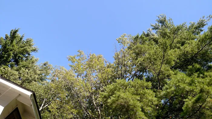 Spring Haven Campground 2