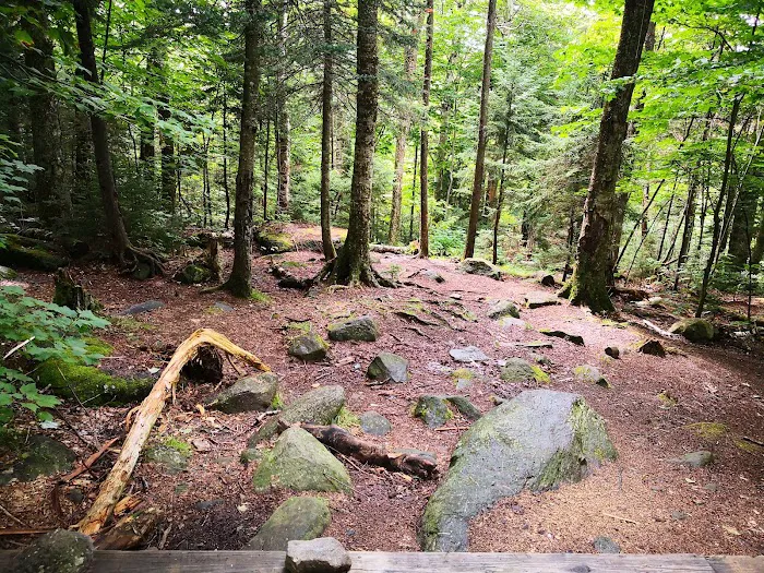Osgood Tentsite 6