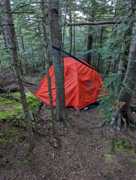 Imp Shelter 9