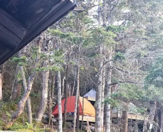 RMC The Perch