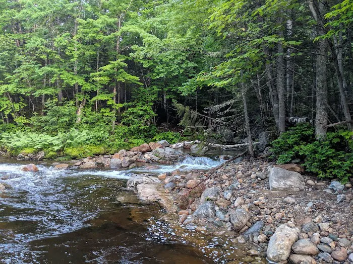 Spruce Brook Tent Site 2