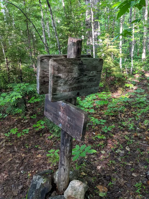 Spruce Brook Tent Site 4