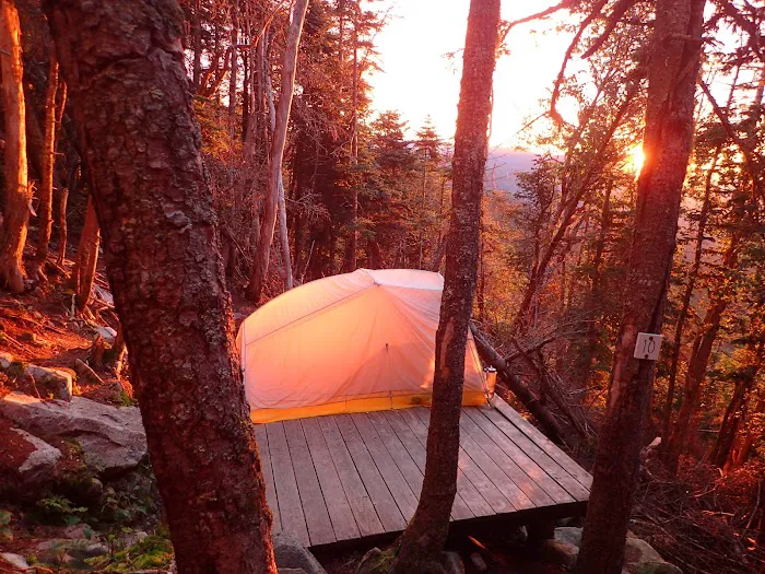 Guyot Shelter 7
