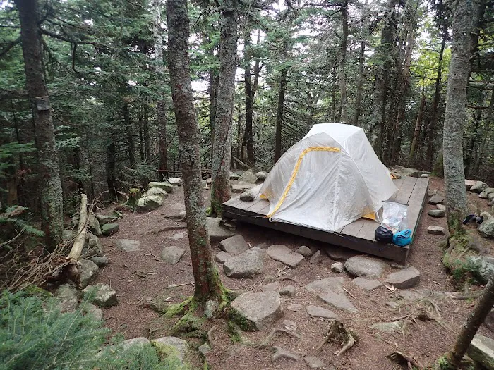 Garfield Ridge Campsite and Shelter, Appalachian Trail 0
