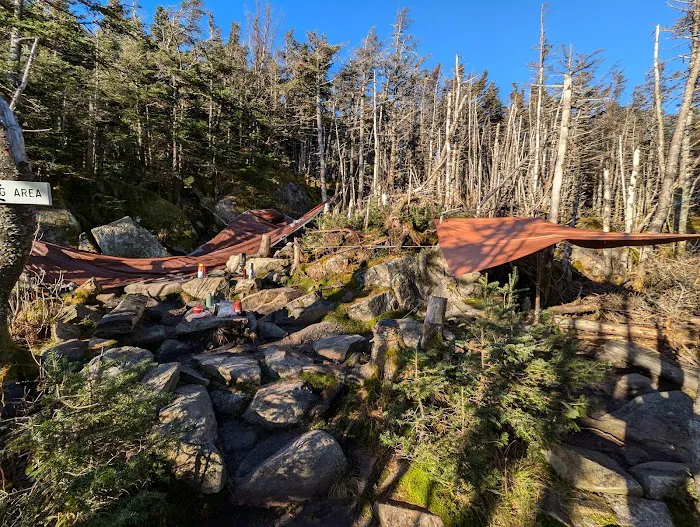 Garfield Ridge Campsite and Shelter, Appalachian Trail 1