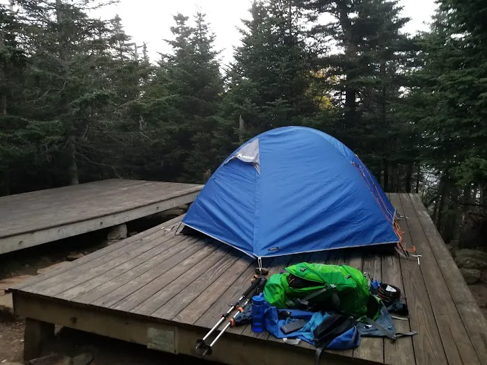 Garfield Ridge Campsite and Shelter, Appalachian Trail 4