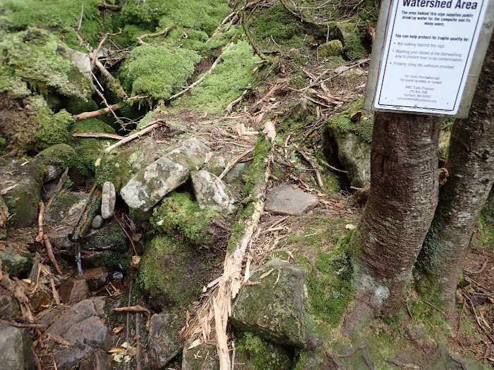 Garfield Ridge Campsite and Shelter, Appalachian Trail 9