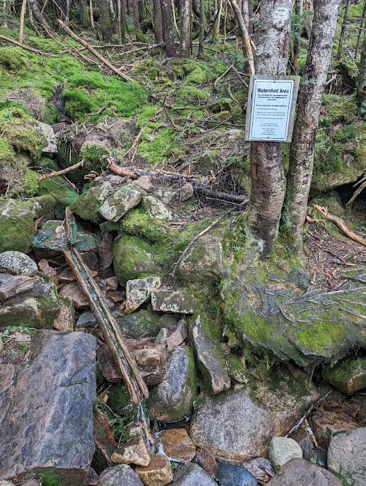 Garfield Ridge Campsite and Shelter, Appalachian Trail 6