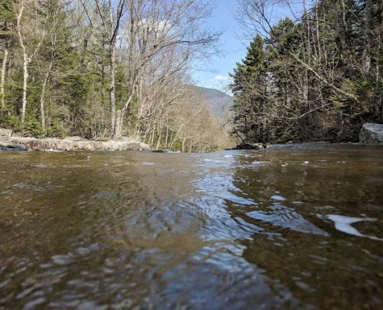 Thirteen Falls Tentsite