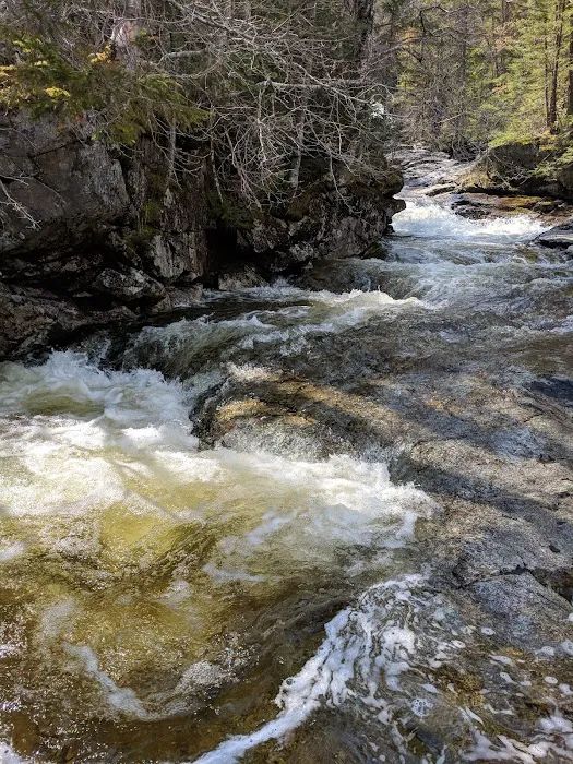 Thirteen Falls Tentsite 8