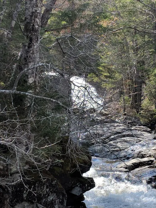 Thirteen Falls Tentsite 5