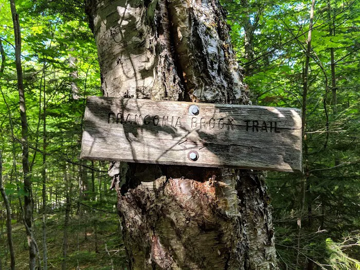 Thirteen Falls Tentsite 4
