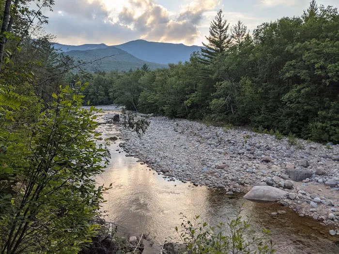 Franconia Brook Tentsite 1