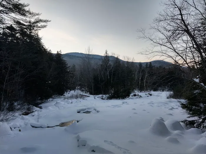 Franconia Brook Tentsite 9