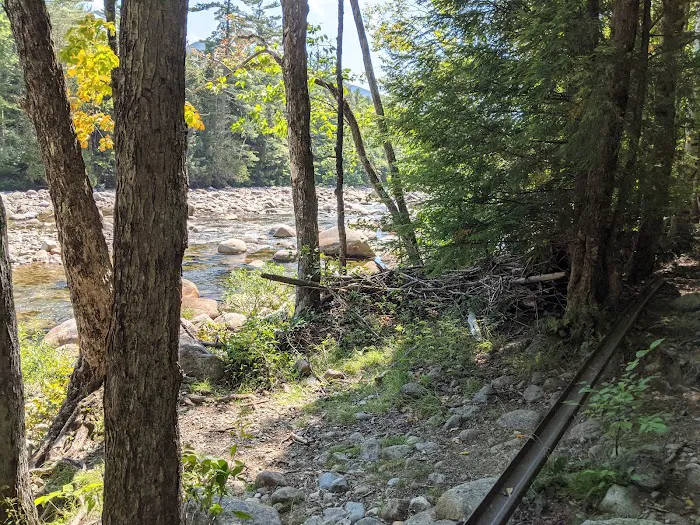 Franconia Brook Tentsite 8