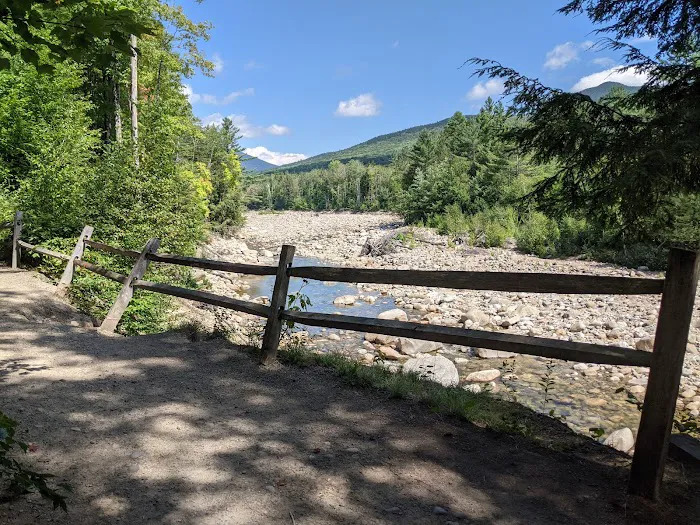 Franconia Brook Tentsite 7