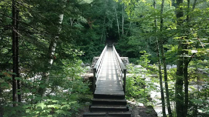 Franconia Brook Tentsite 4