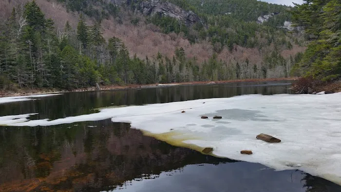 Gentian Pond Shelter 2