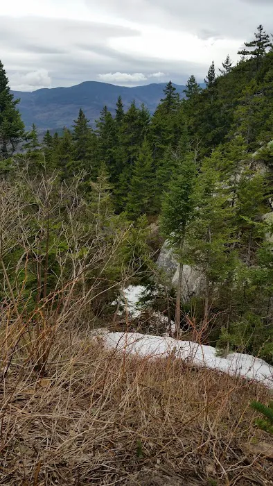 Gentian Pond Shelter 3