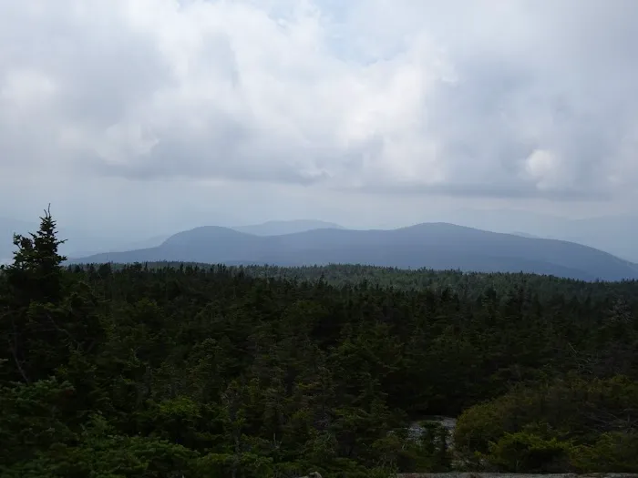 Gentian Pond Shelter 0