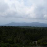 Gentian Pond Shelter