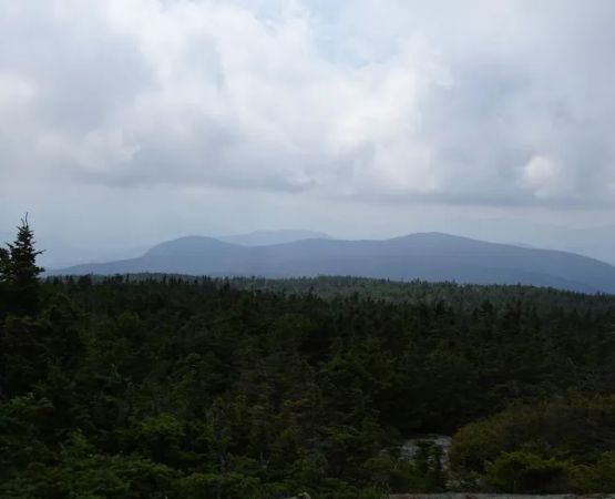Gentian Pond Shelter