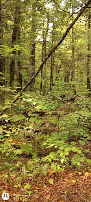 Hastings Campground 1