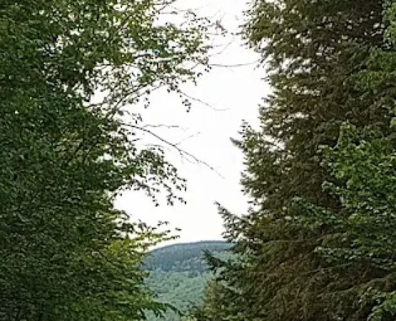 Hastings Campground