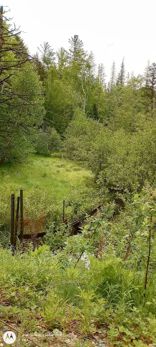 Hastings Campground 9