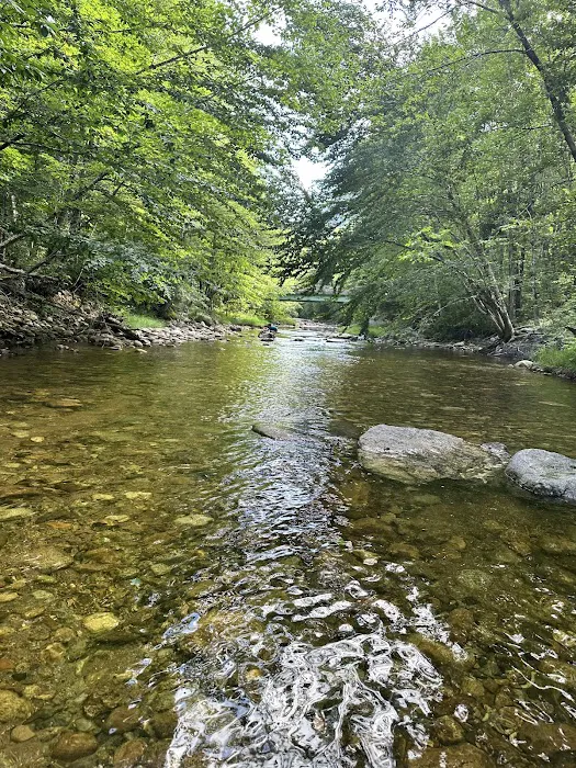 Hastings Campground 7