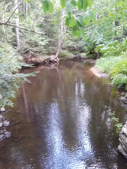 Potter’s Place 6
