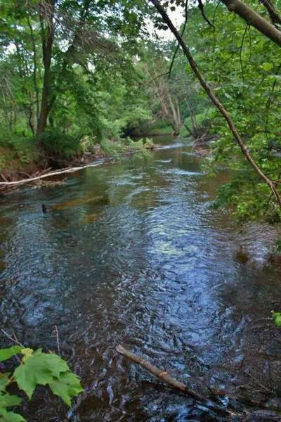 Salmon Falls River RV Resort 0