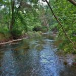 Salmon Falls River RV Resort